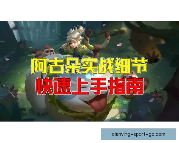 2026世界杯晋级球队全解析及夺冠热门预测指南